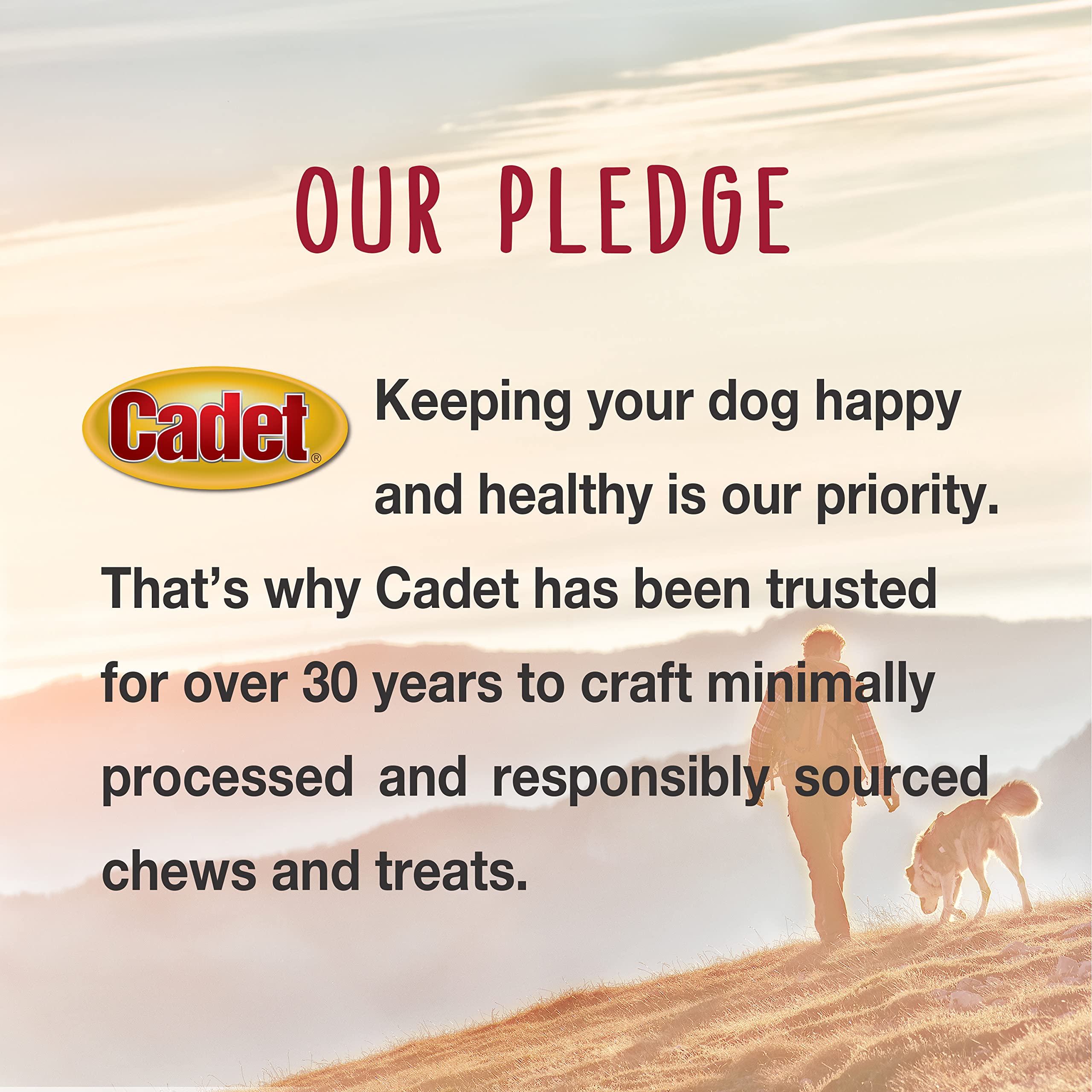 Cadet Bully Hide Sticks for Small Dogs, All-Natural Beef Pizzle, Limited-Ingredient Long-Lasting Dog Chews for Aggressive Chewers, 12 Count - Image 8