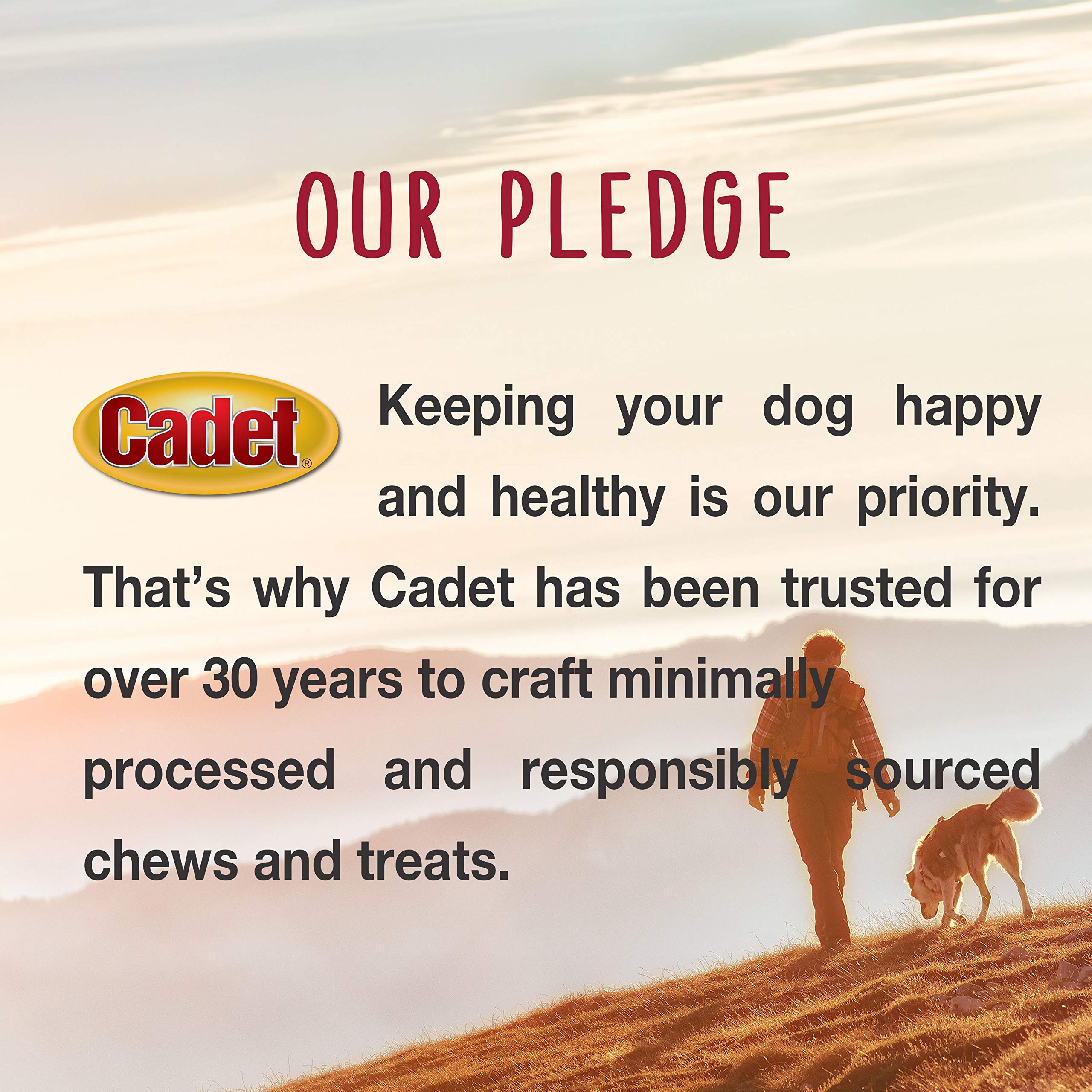 Cadet Premium Grade Beef Hide for Dogs, Rawhide Long Lasting Dog Chews, Chips, Curls & Rolls for Small/Medium/Large Dogs - Image 6