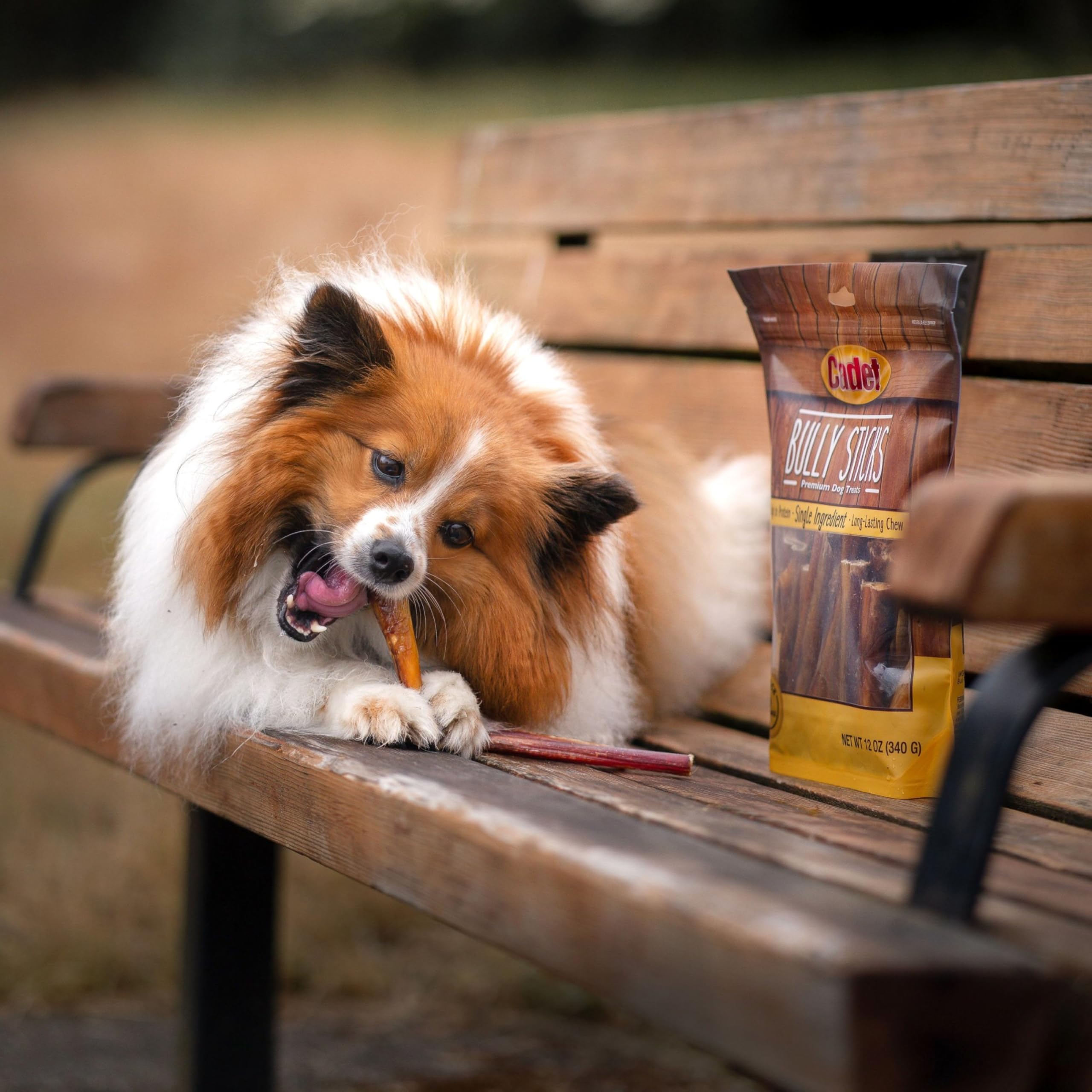 Cadet Bully Sticks for Small Dogs – All-Natural Beef Pizzle, High Protein, Low Fat, Long-Lasting, Grain & Rawhide-Free Dog Chews for Aggressive Chewers, Small (12 Ounce) - Image 3