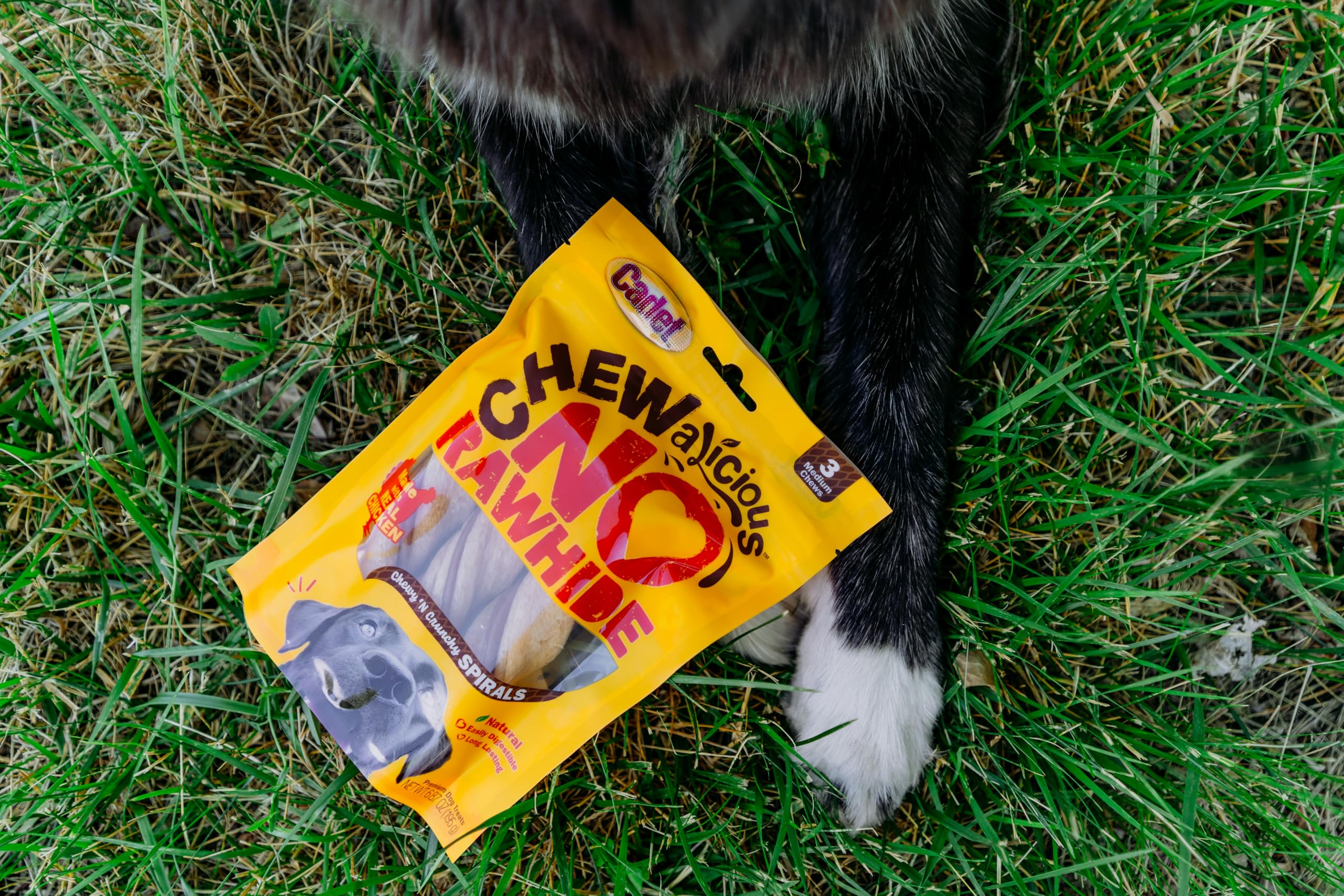 Cadet Chewalicious Chewy 'N Crunchy Spiral Dog Treats, Limited Ingredient, Rawhide-Free, Long-Lasting Chews for Dogs Made with Real Chicken, 3 Count, Pack of 1 - Image 6