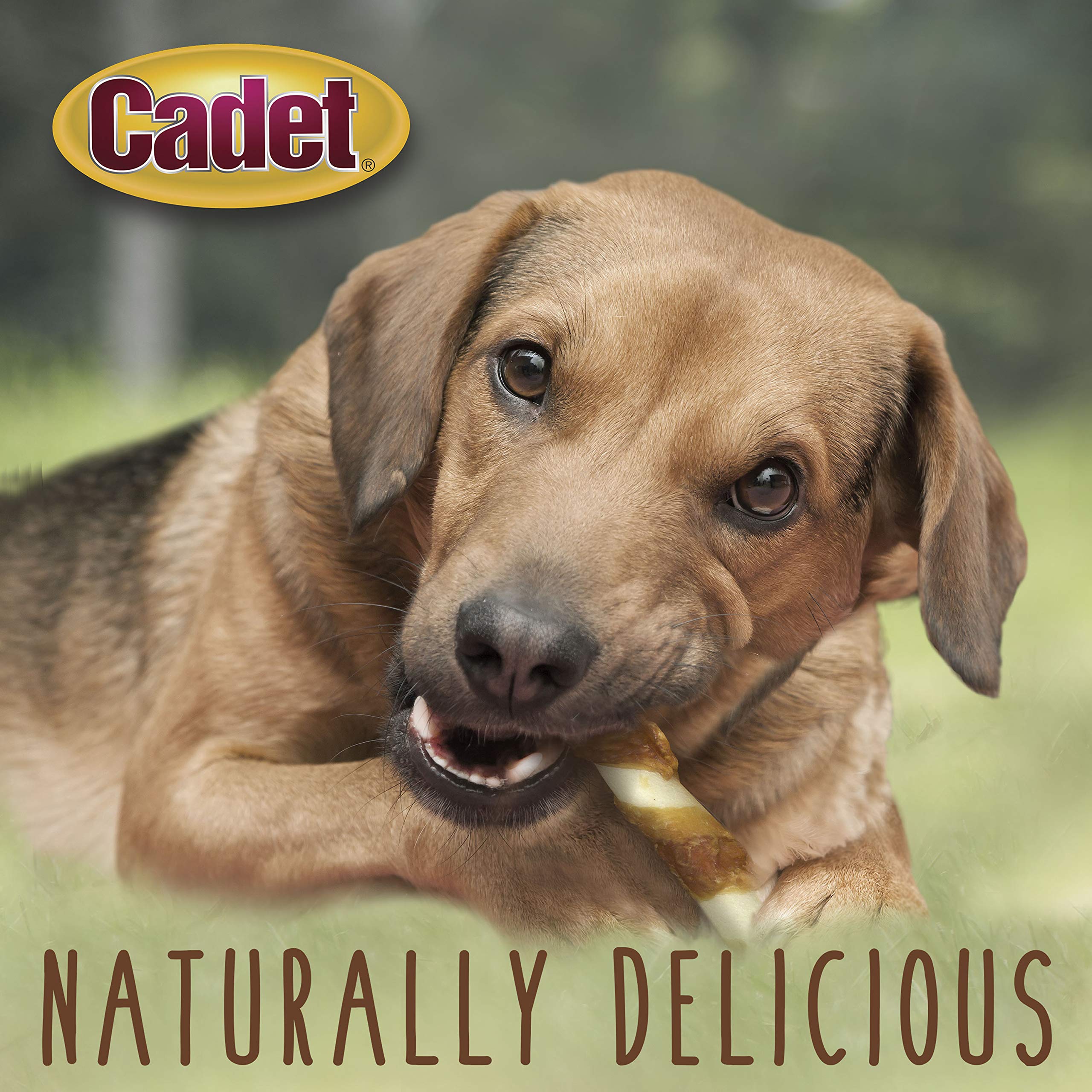 Cadet Gourmet 8-Inch Beef Hide Twist Chew Sticks, Long-Lasting and Natural Rawhide Chews for Dogs, Inspected & Tested in USA, Chicken Flavor, 6 Count - Image 4