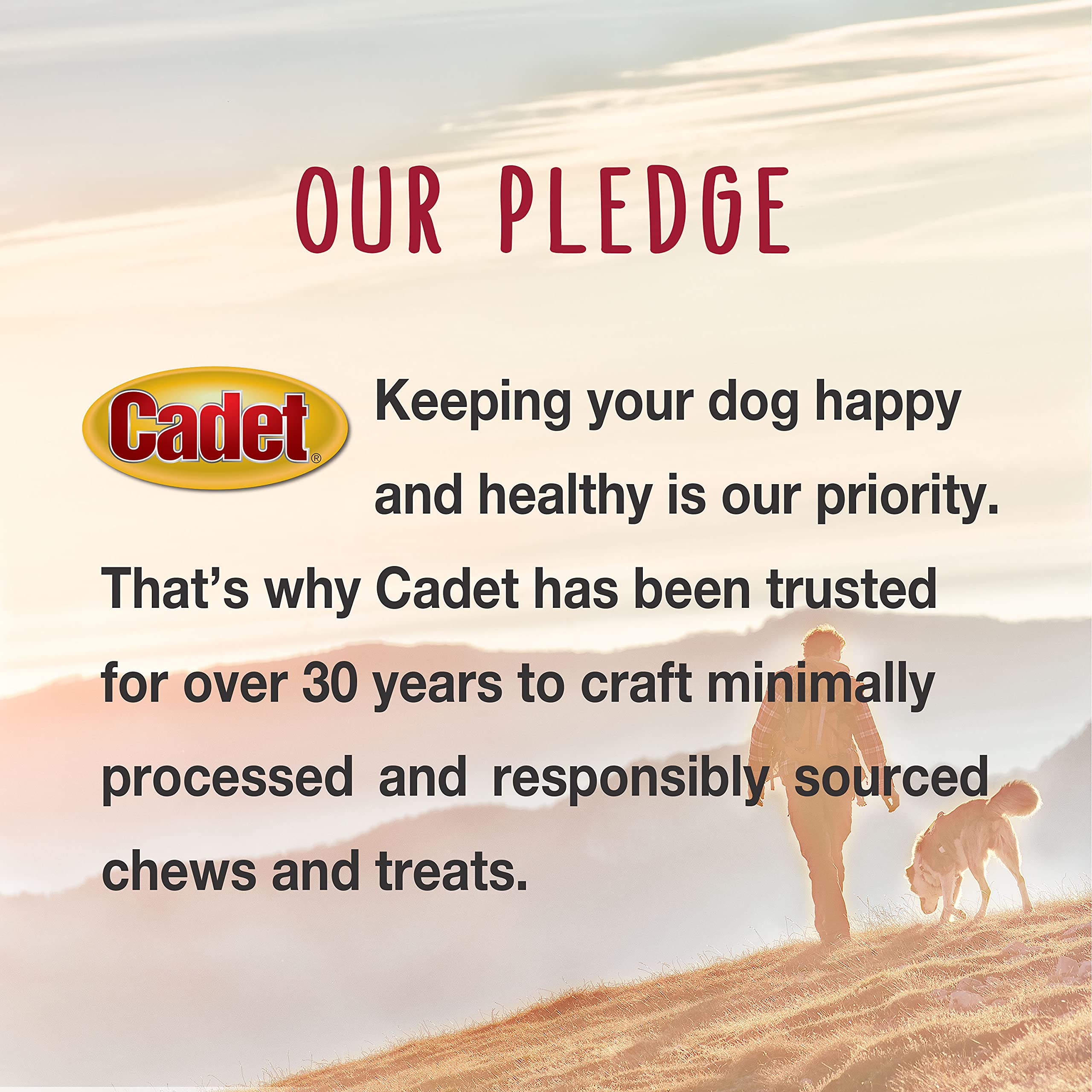 Cadet Gourmet Homestyle Turducken Recipe Jerky Chews for Dogs, Healthy Natural Dog Training Treats Made with Real Turkey, Duck & Chicken, 14 oz - Image 7