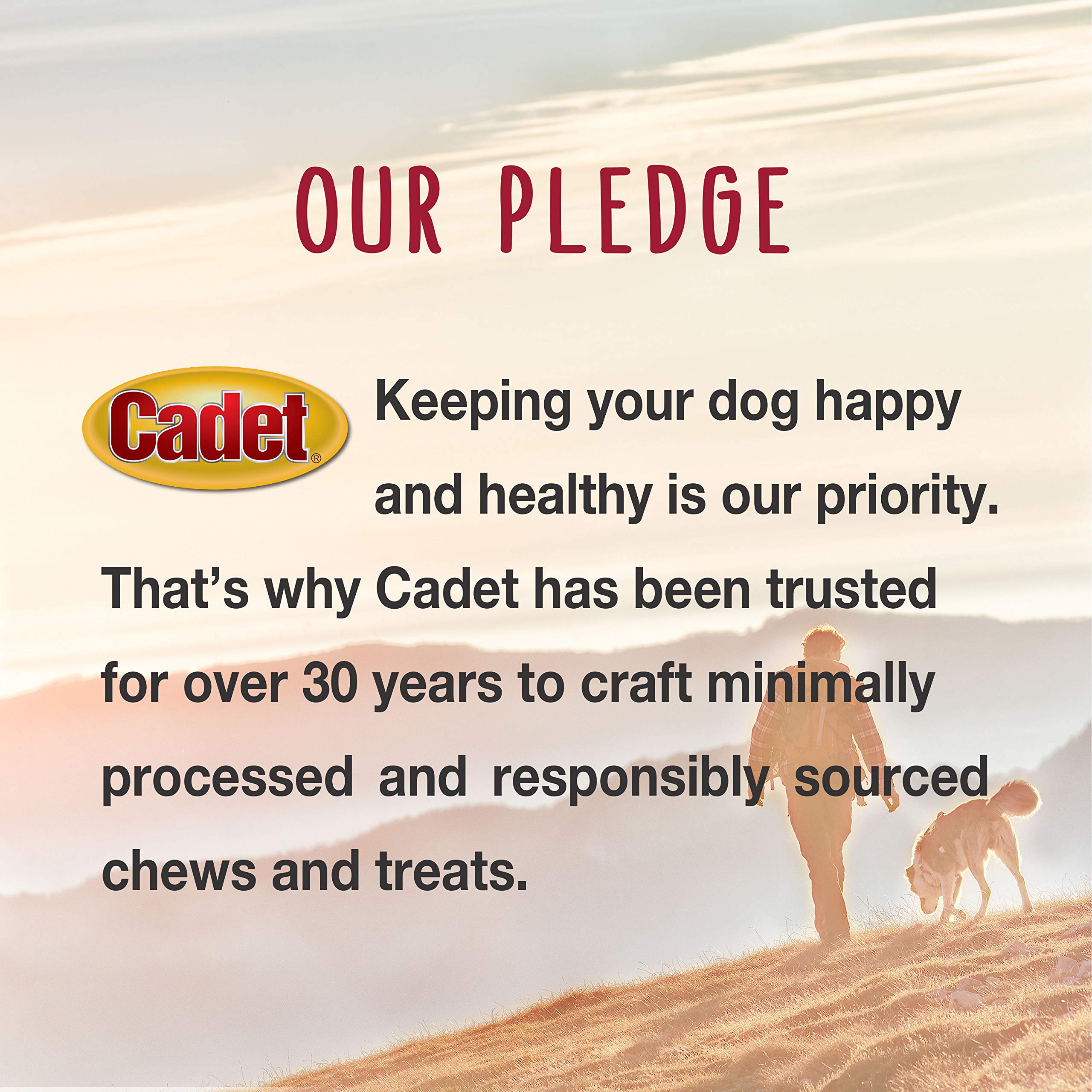 Cadet Gourmet Triple Chews Long-Lasting Pork Hide Sticks with Apple and Duck, Healthy Dog Treats for Small & Large Dogs, 6 Count - Image 6
