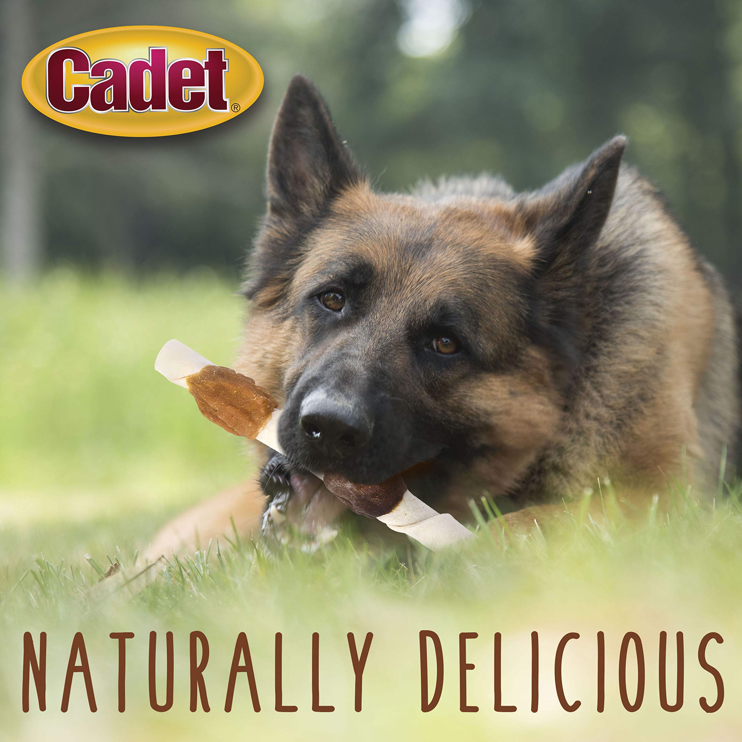 Cadet Gourmet Shish Kabob Dog Treats for Large Dogs, Healthy & Natural Chicken & Sweet Potato Chew Sticks, Beef Hide, Extra Large 10 Inch, 4 Count (Pack of 1) - Image 9
