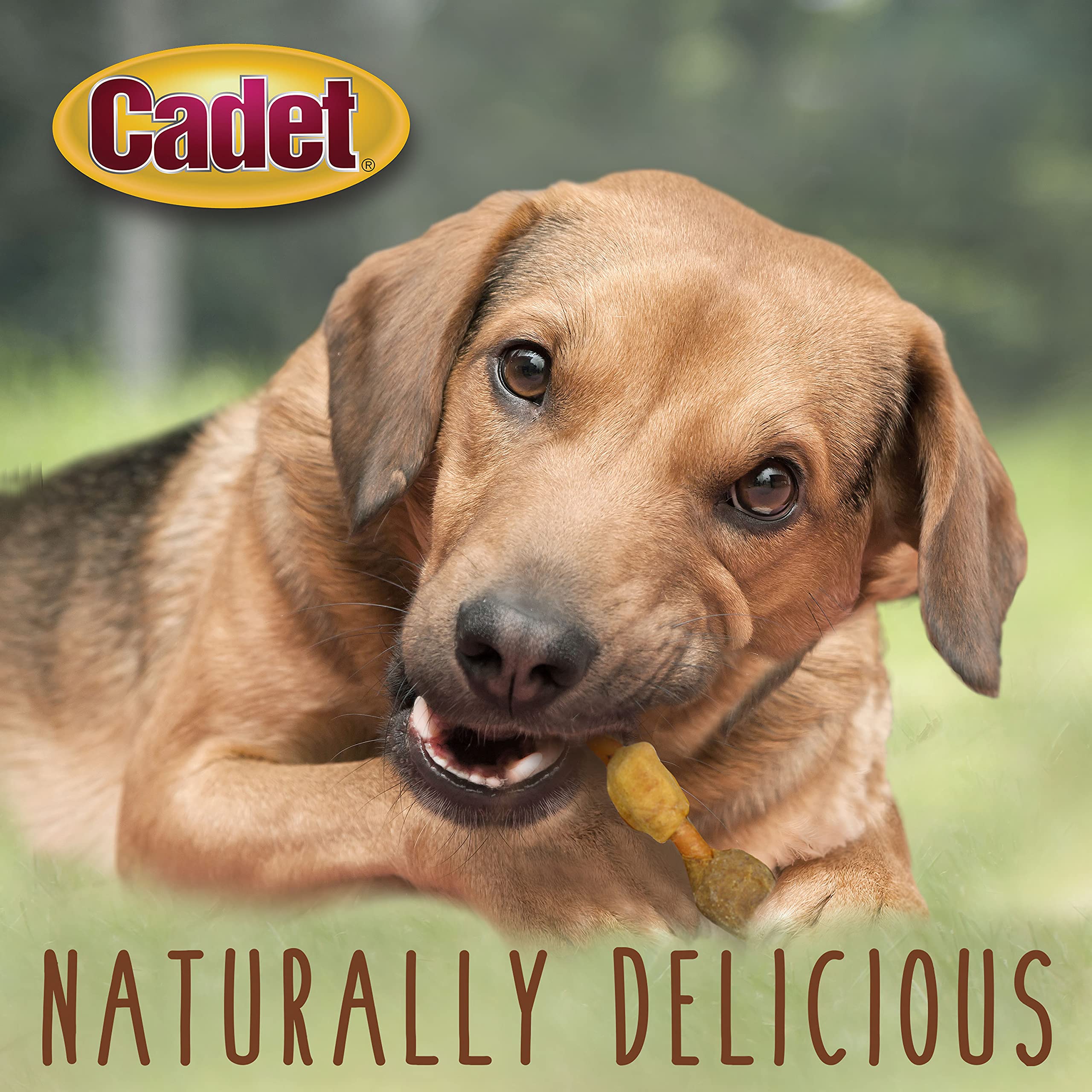 Cadet Gourmet Shish Kabob Dog Treats, Healthy Dog Chew Sticks for Dogs, Rawhide Chews with Chicken and Sweet Potato, Natural Pork Hide Twist Sticks, 5-Inch Sticks, 24 oz. Bag - Image 4