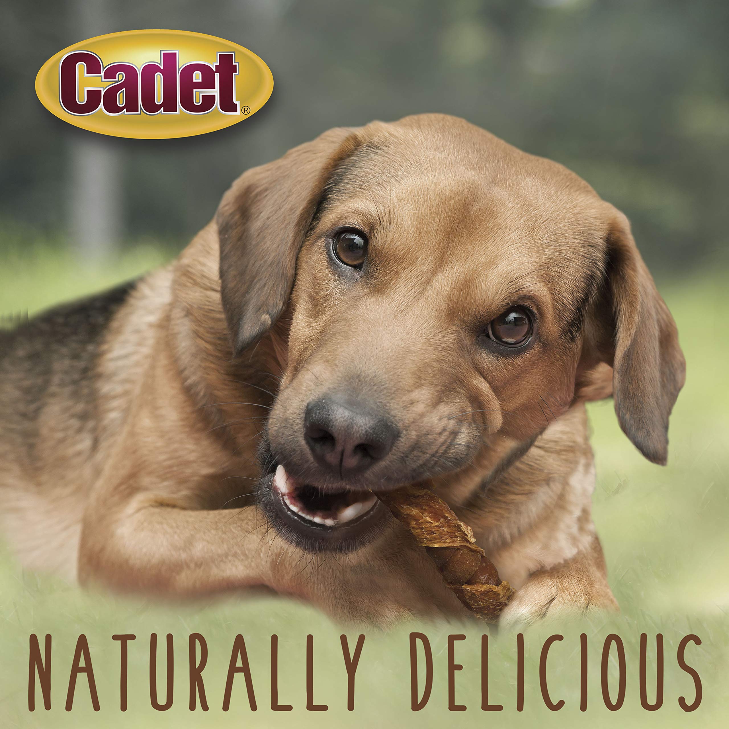 Cadet Gourmet Triple Chews Long-Lasting Pork Hide Sticks with Sweet Potato and Chicken, Healthy Dog Treats for Small & Large Dogs, 6 Count - Image 5