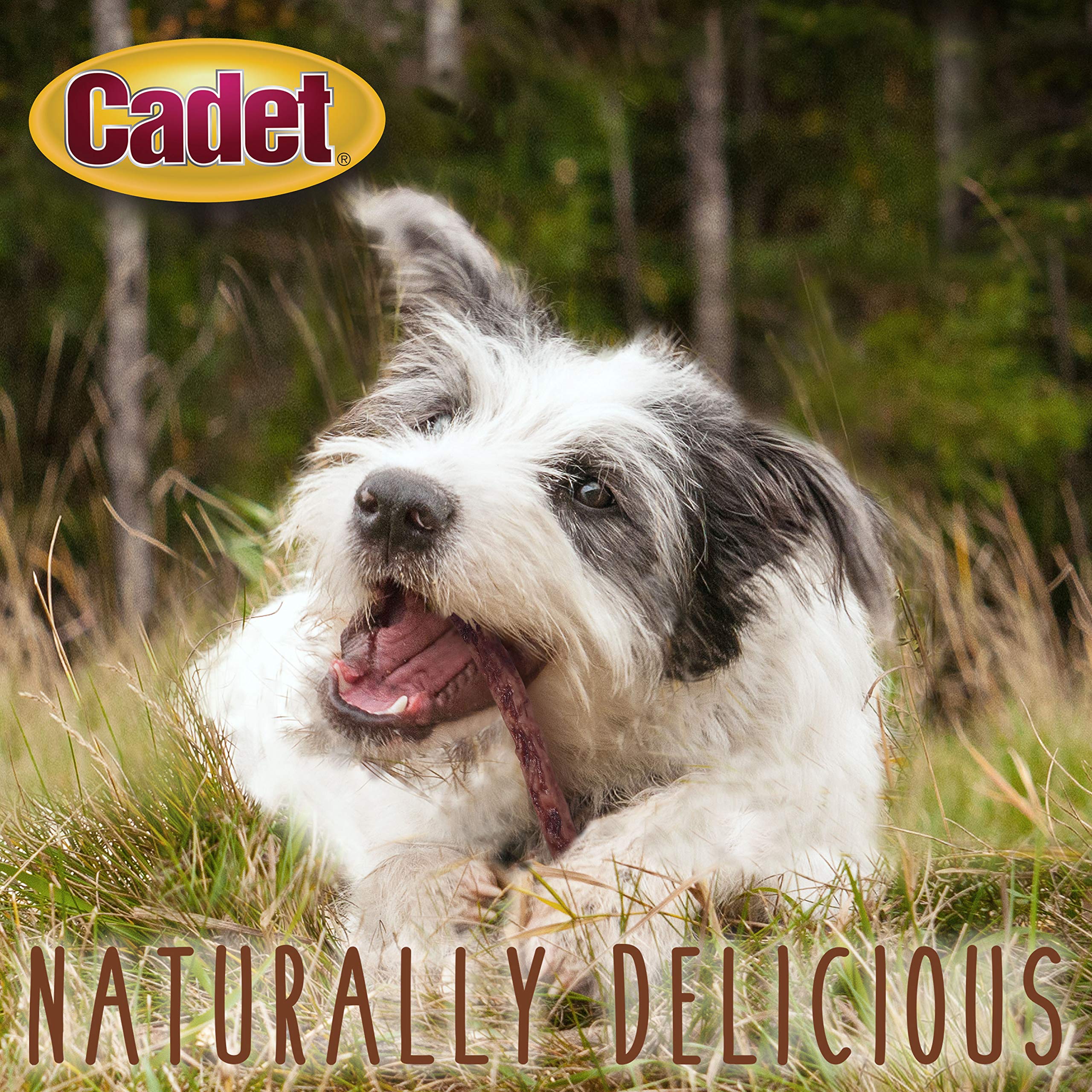 Cadet Premium Grade Beef Hide for Dogs, Long-Lasting Rawhide Munchy Flat Bars, Single-Ingredient Dog Chews, 6.5-Inch, 50 Count - Image 5