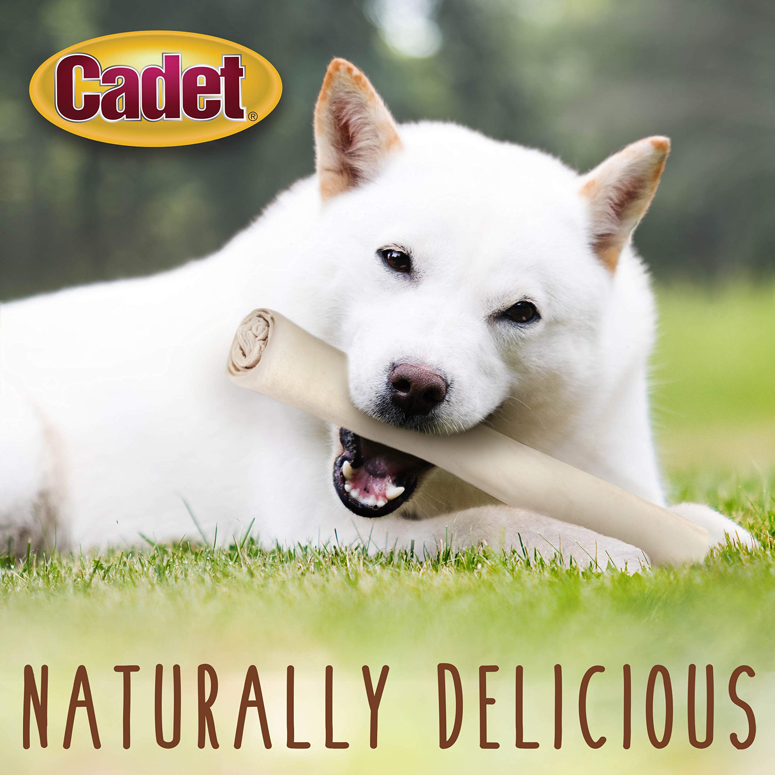 Cadet Premium Grade Beef Hide, Long-Lasting Rawhide Rolls, Single-Ingredient Dog Chews for Large Breeds, 10-Inch, 8 Count - Image 4