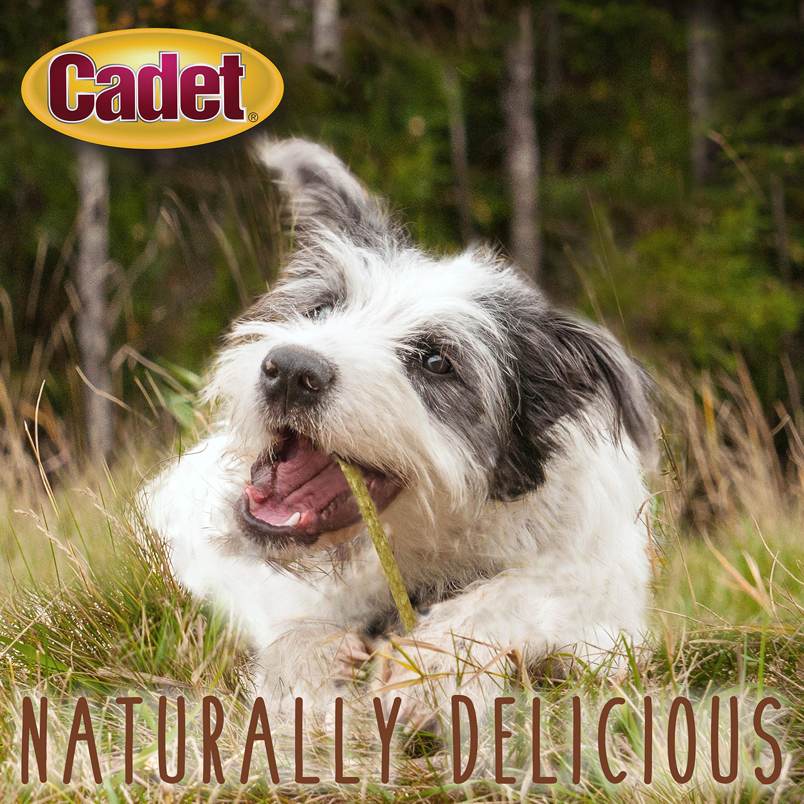 Cadet Premium Grade Rawhide for Dogs, Long-Lasting Munchy Sticks, Single-Ingredient Dog Chews, Chicken Flavor, 5-Inch, 100 Count - Image 4