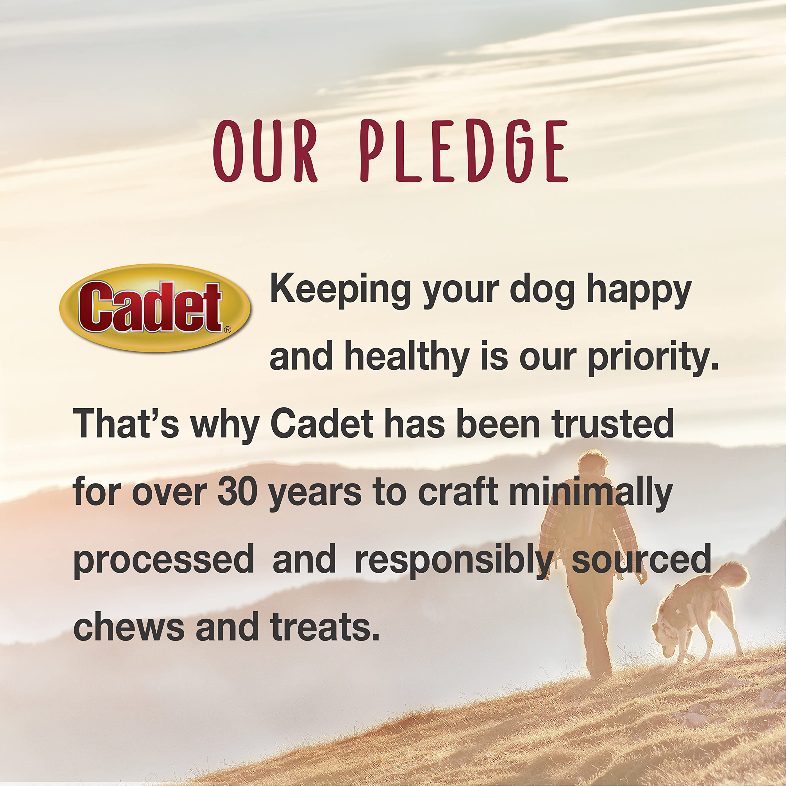 Cadet Stuffed Shin Bone, Long-Lasting Dog Chew Bones for Aggressive Chewers, High Protein Filled Bone Dental Chew for Dogs, Chicken Flavor Filling, 3-4" for Small Dogs - Image 9