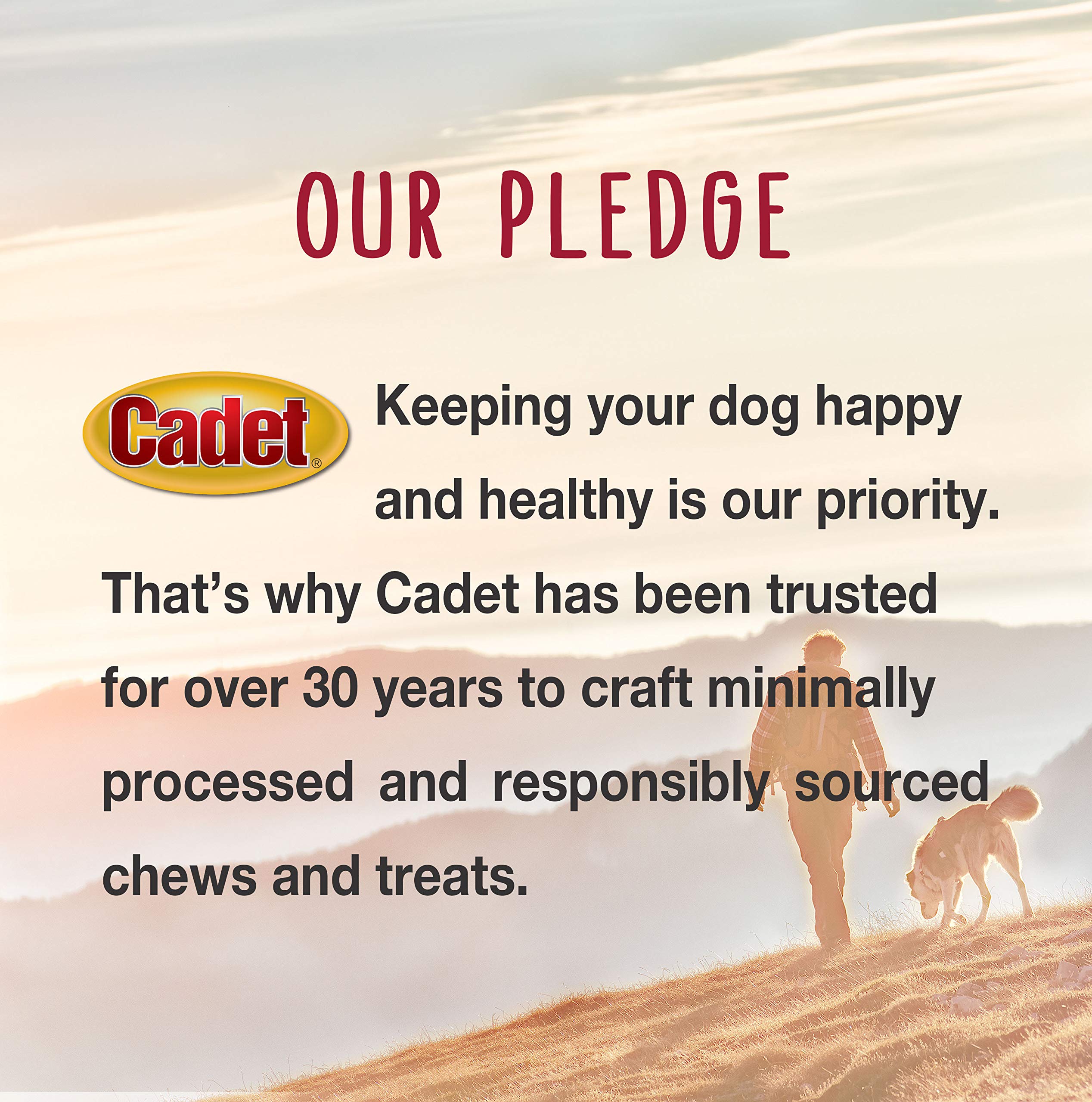 Cadet Stuffed Shin Bone, Long-Lasting Dog Chew Bones for Aggressive Chewers, High Protein Filled Bone Dental Chew for Dogs, Bacon & Cheese Flavor Filling, 3-4" for Small Dogs - Image 10